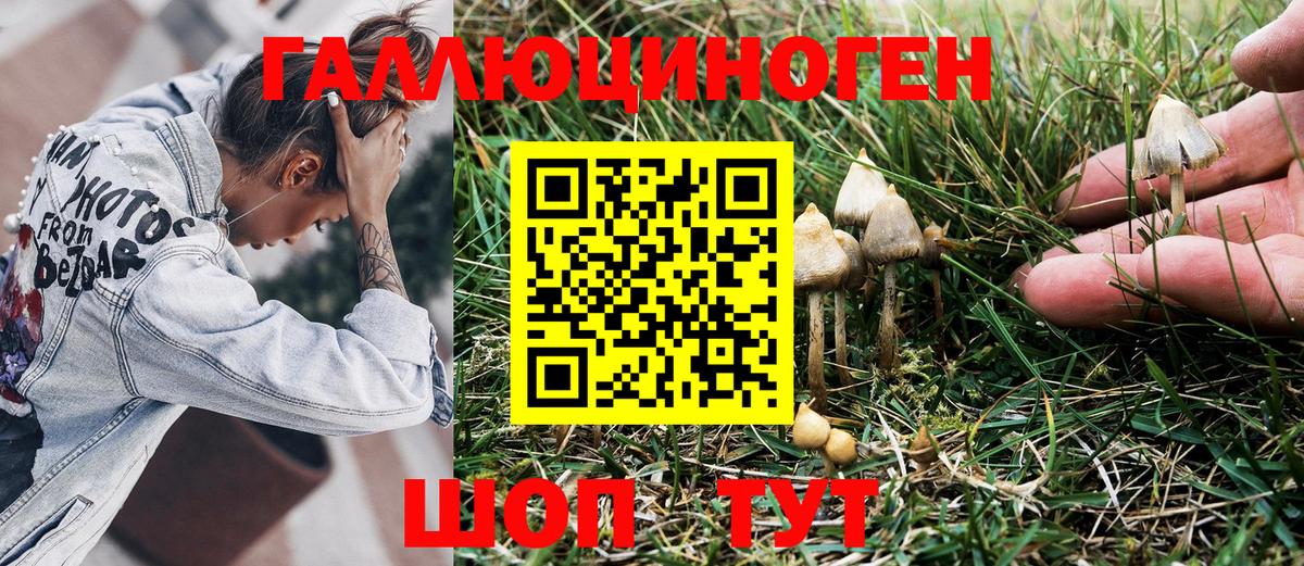 Галлюциногенные грибы ЛСД Кострома