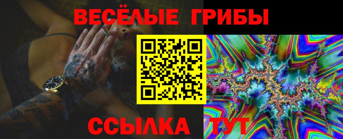 Кострома  Псилоцибиновые грибы мицелий  Вход с VPN 